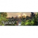 Nature 3D Screensaver download