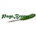 PageBreeze Free HTML Editor download