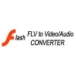 Flash FLV to Video/Audio Converter download