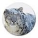 Mac OS X Snow Leopard download