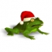 Christmas Super Frog download